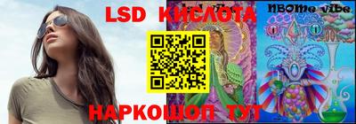гидропоника Камышлов