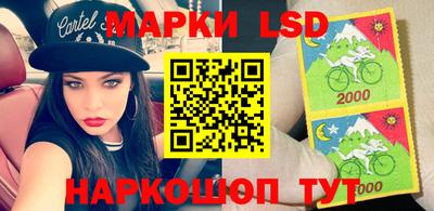 гидропоника Камышлов