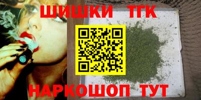гидропоника Камышлов