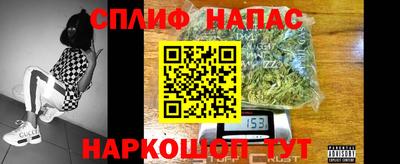 гидропоника Камышлов