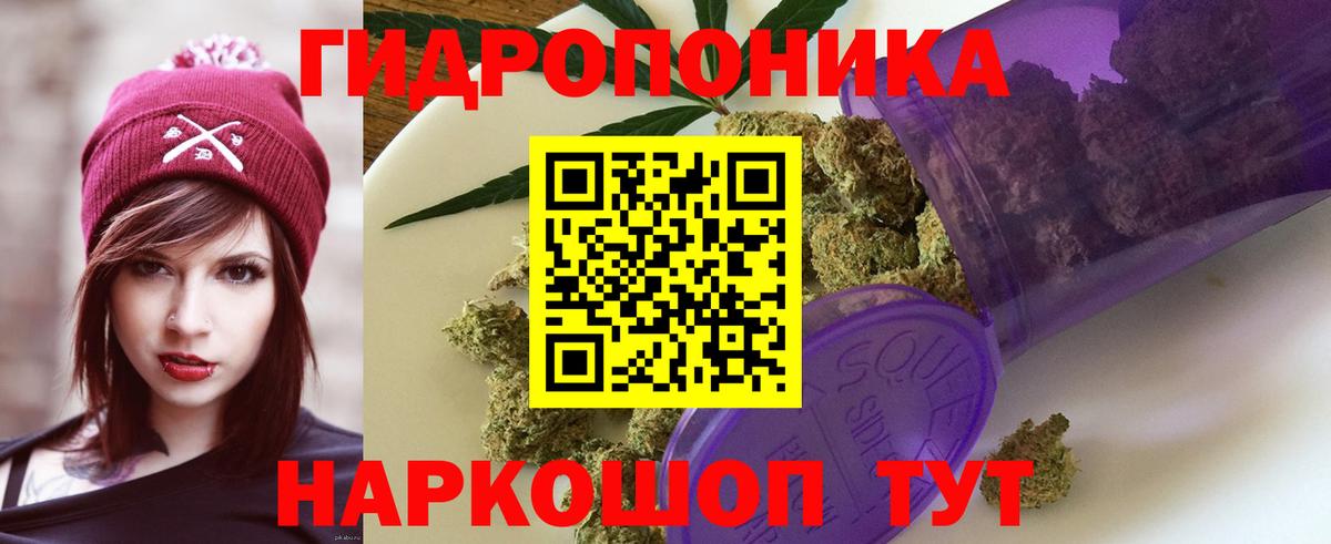 Бошки Шишки White Widow  Вход с VPN  Марихуана White Widow  Миллерово  Шишки марихуана White Widow  Бошки Шишки Ganja 